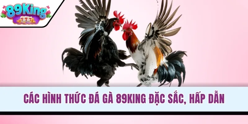 Các hình thức đá gà 89KING đặc sắc, hấp dẫn