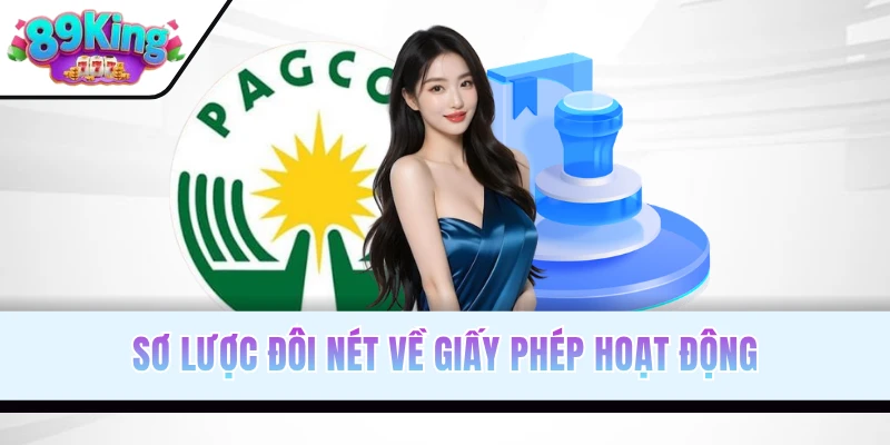 Sơ lược đôi nét về giấy phép hoạt động